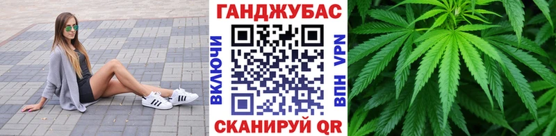 Альфа ПВП Дмитров