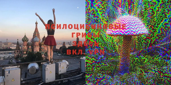 спайс Аркадак