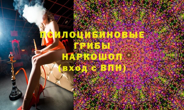ГАЛЛЮЦИНОГЕННЫЕ ГРИБЫ Арсеньев