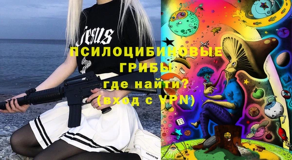 ГАЛЛЮЦИНОГЕННЫЕ ГРИБЫ Арсеньев