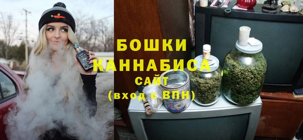 ГАЛЛЮЦИНОГЕННЫЕ ГРИБЫ Арсеньев