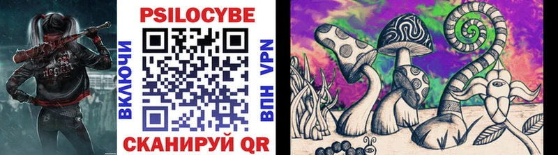 Галлюциногенные грибы Psilocybe  Дмитров 