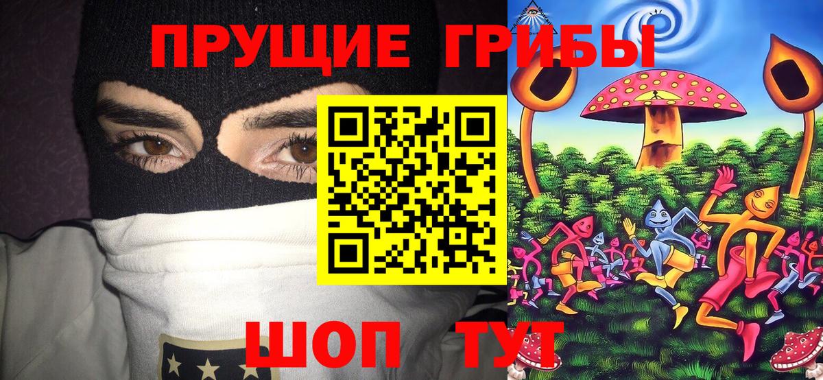 Галлюциногенные грибы Psilocybine cubensis Дмитров